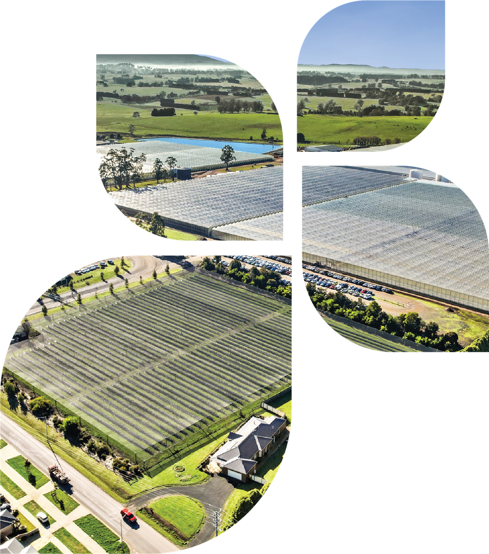 Aerial of glasshouse